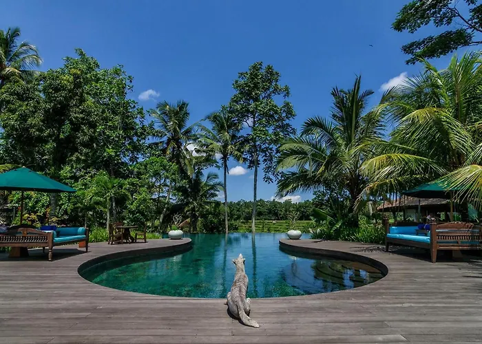 Permata Ayung Private Estate (adults Only) Villa *